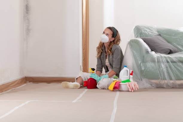 Reliable Mold Remediation contractor in Sequim, WA by Cheap Mold Removal